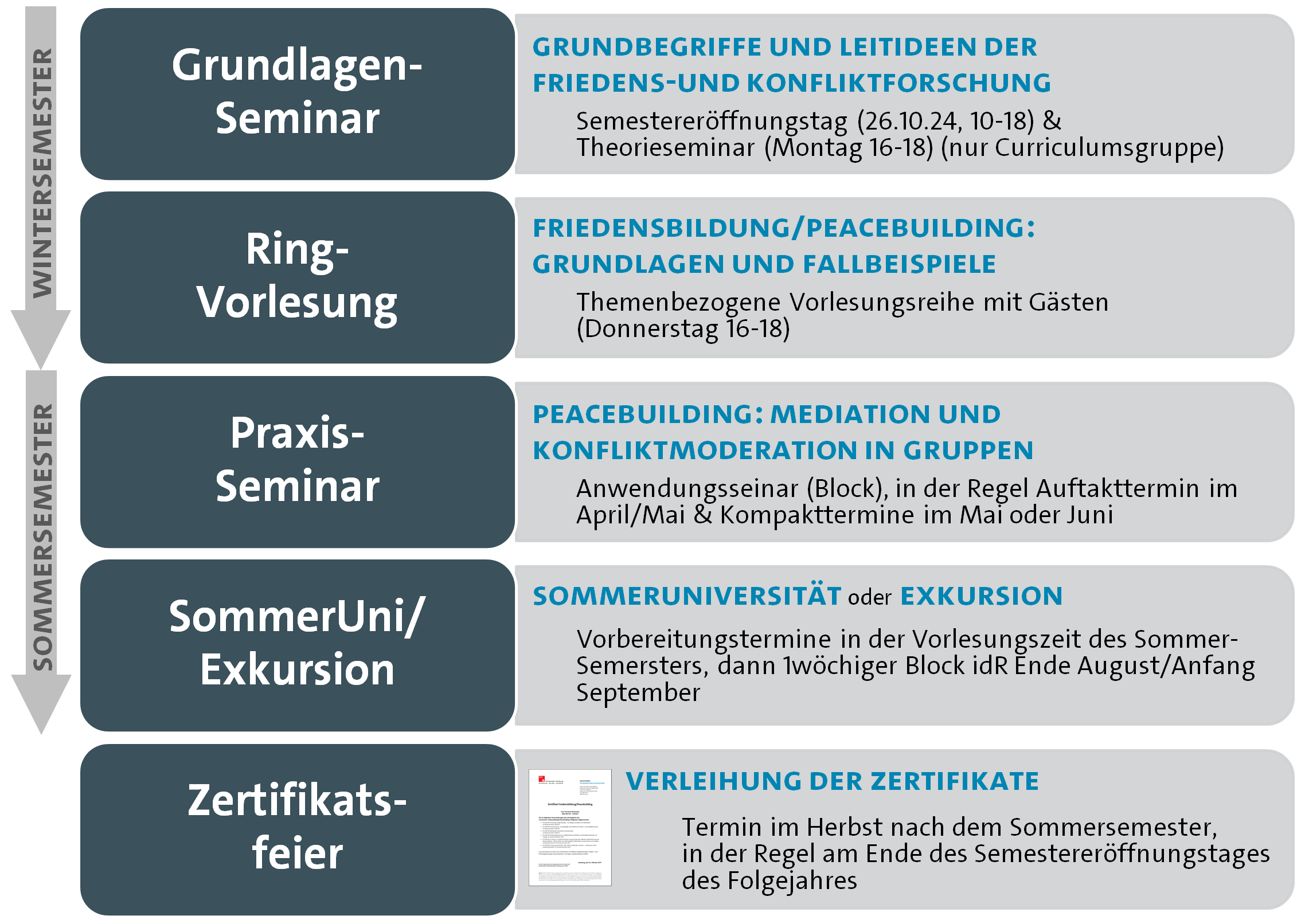 Aufbau Jahrescurriculum