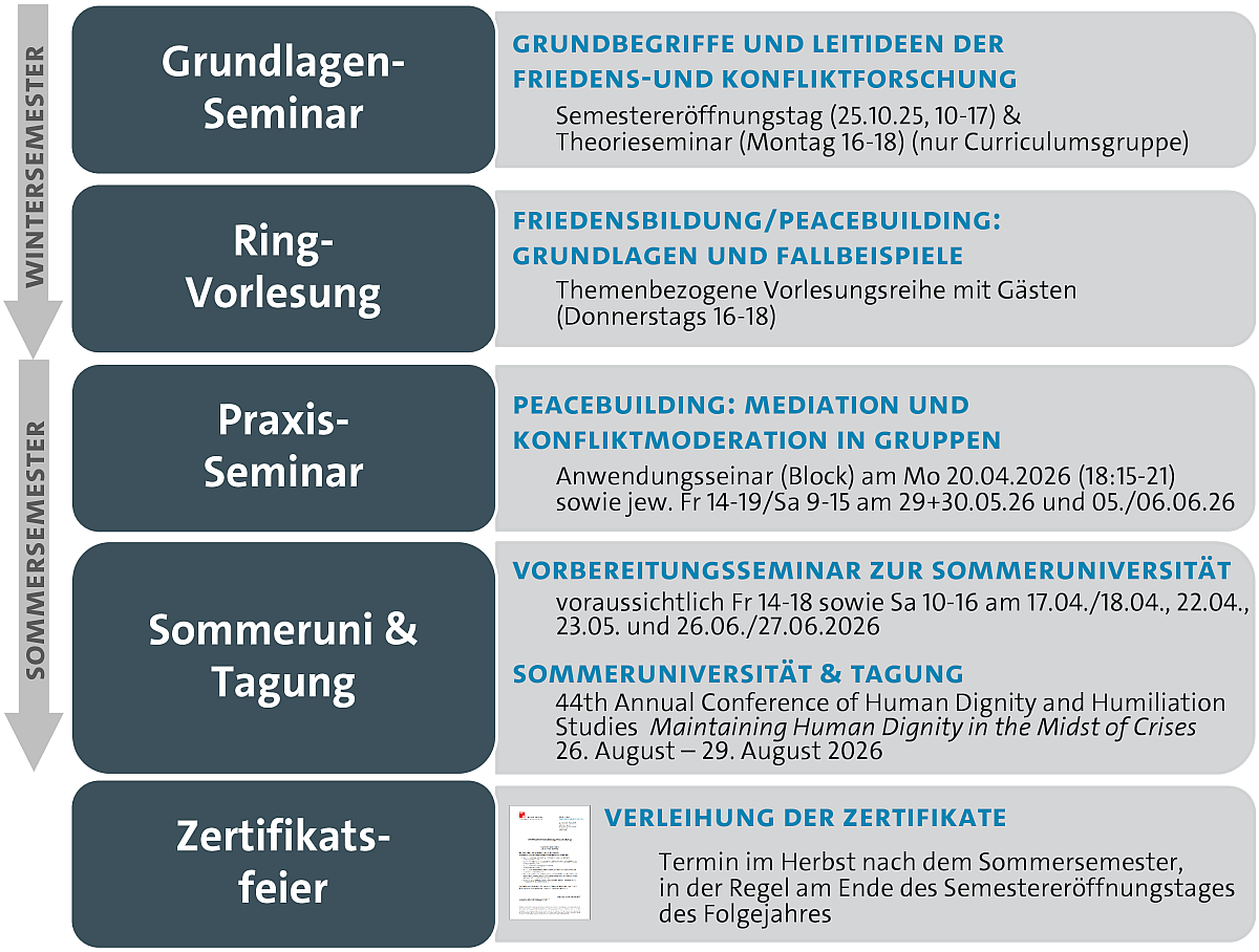 Das Diagramm zeigt das aktuelle Curriculum im Zertifikatsprogramm Friedensbildung/Peacebuilding.